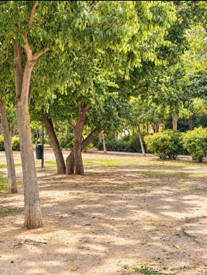 Entorno